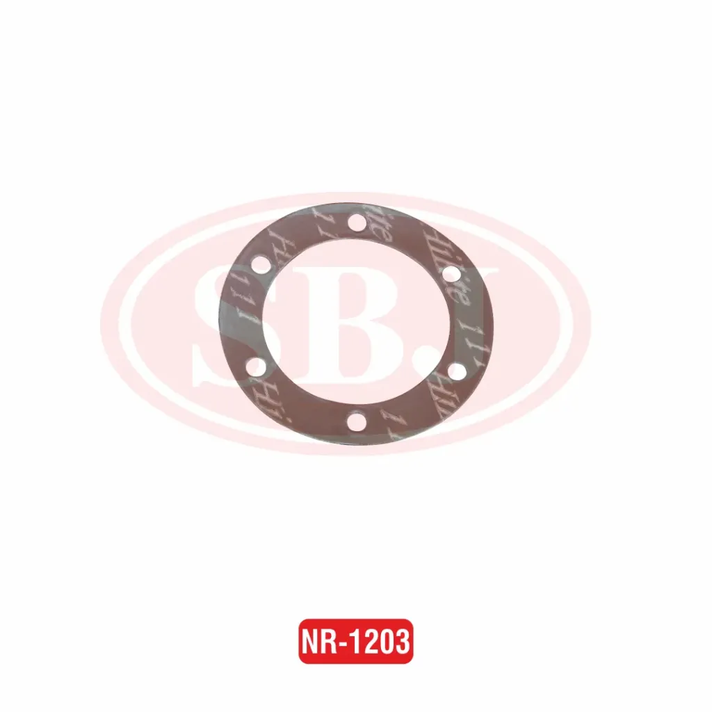 GASKET(RD HUB) SONALIKA  6309  