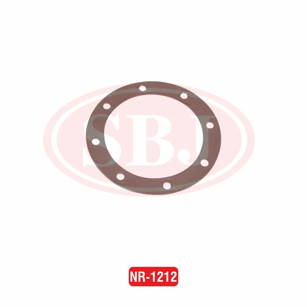 GASKET SHAKTIMAN 8HOLE   