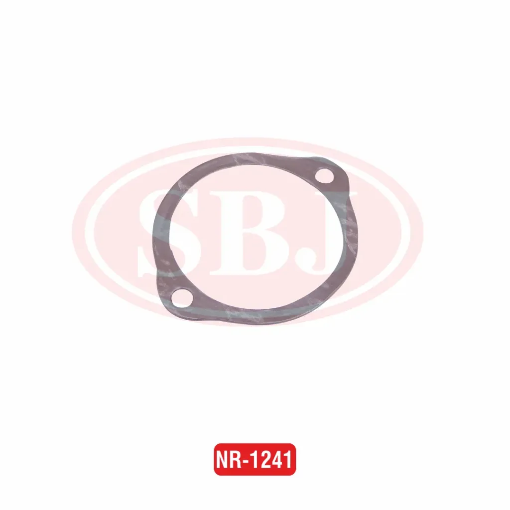 GASKET FRONT PLATE MAHINDRA 2HOLE   